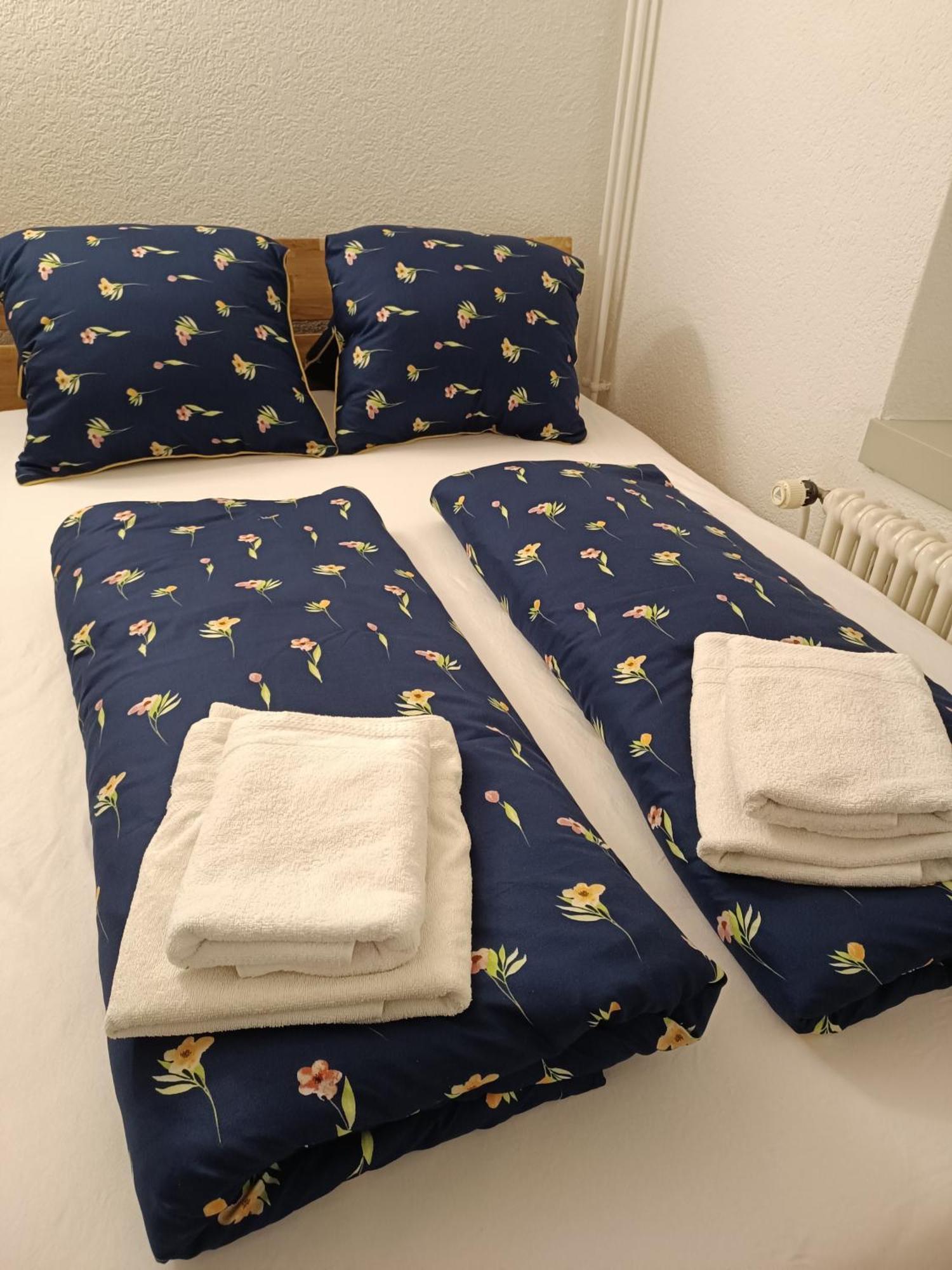 Apartment Jolie 인터라켄 외부 사진